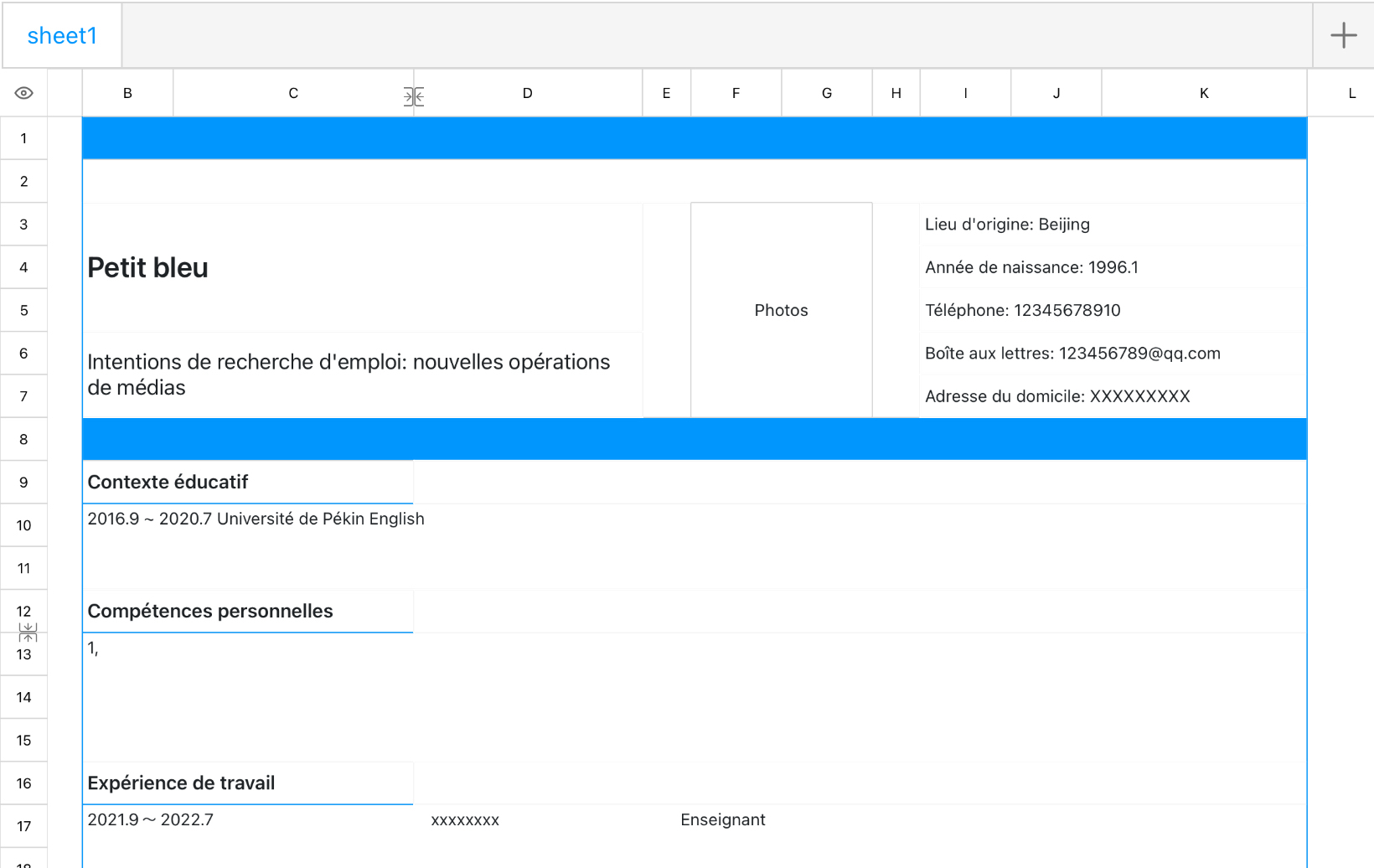 CV de recherche d'emploi bleu